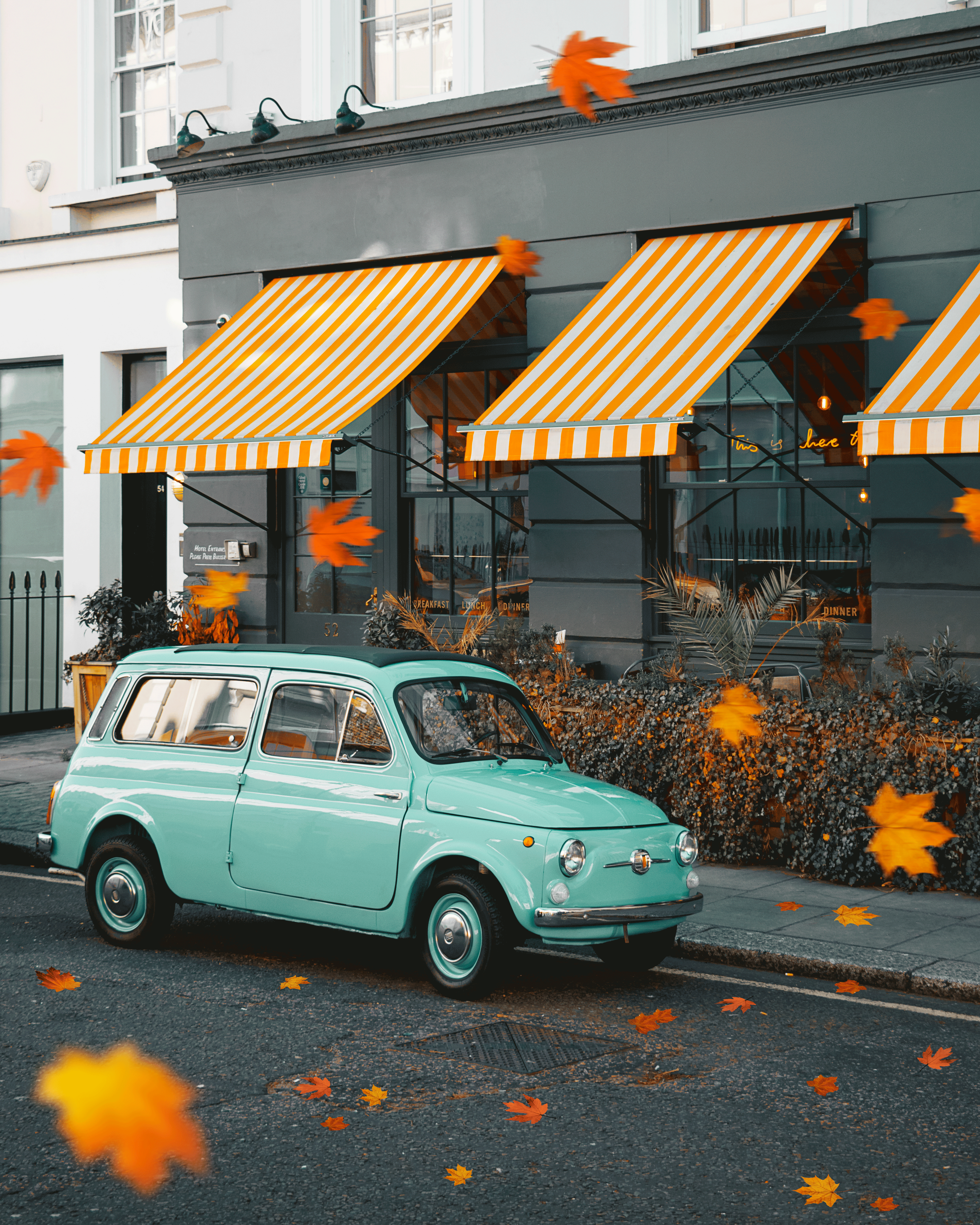 Vintage cars