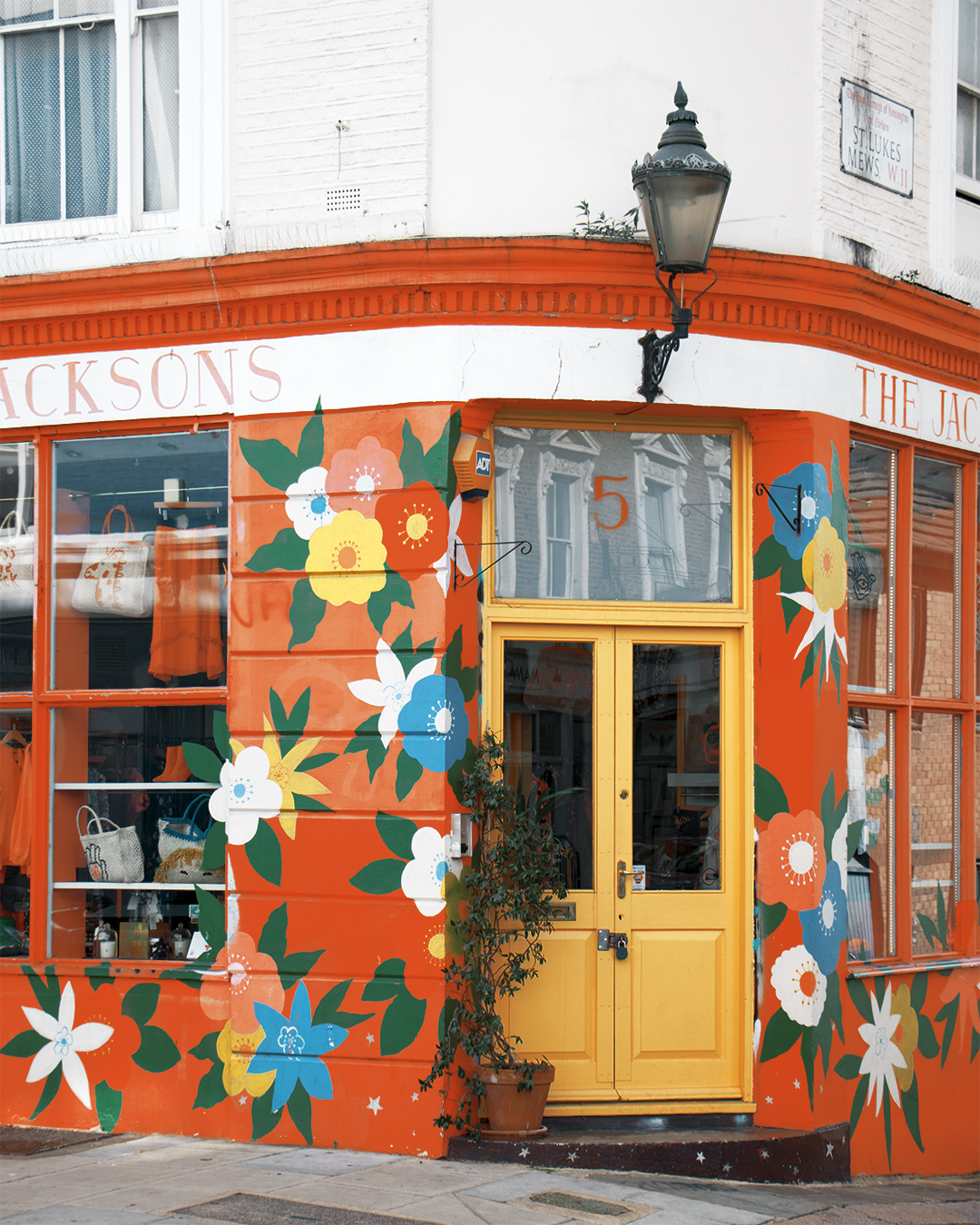 Before & After photos